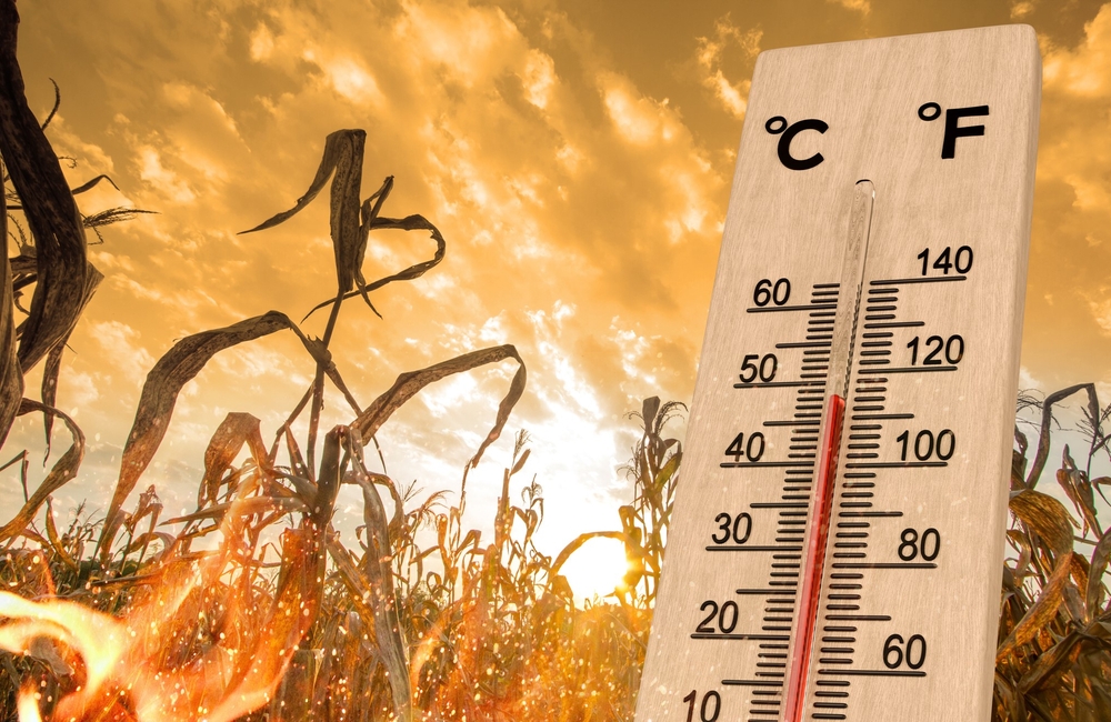 AfDB's Climate Action Window channels $31m to boost climate resilience in four countries